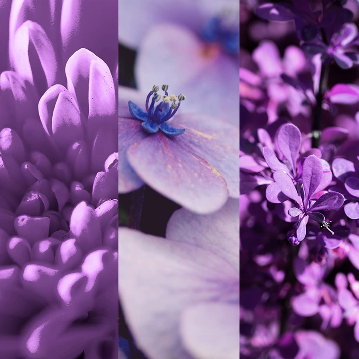 8x4-vibrant-flower-deospray-150-ml-exotisch-floral-ohne-aluminium-ach-48h-schutz image 4