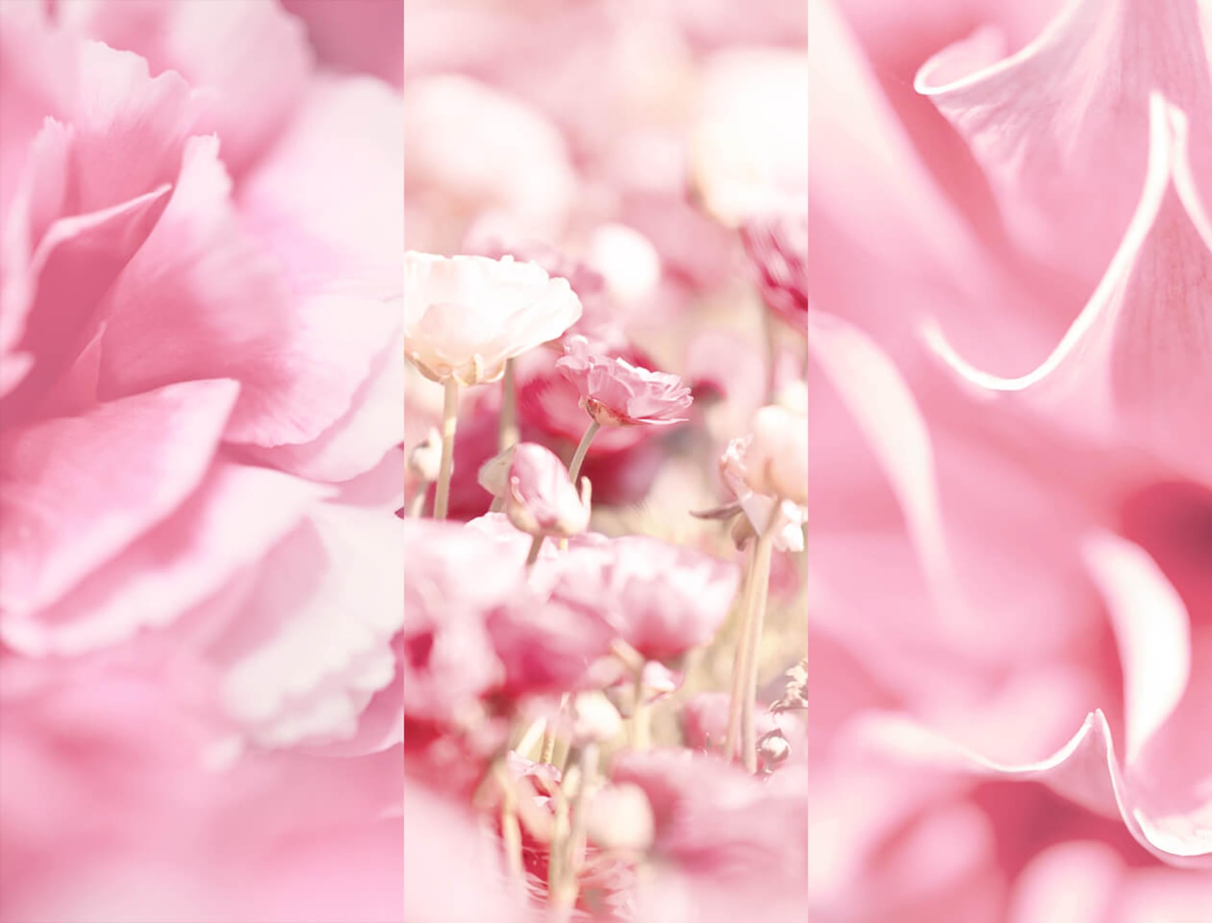 8x4-velvet-blossom-deospray-150-ml image 4