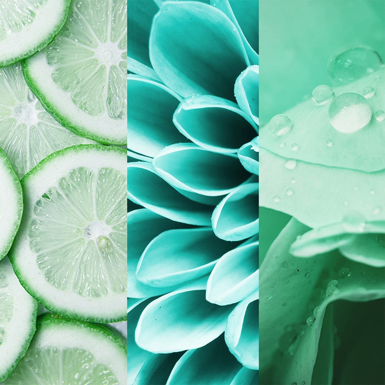 8x4-fresh-lime-deospray-ohne-aluminium-150-ml image 4