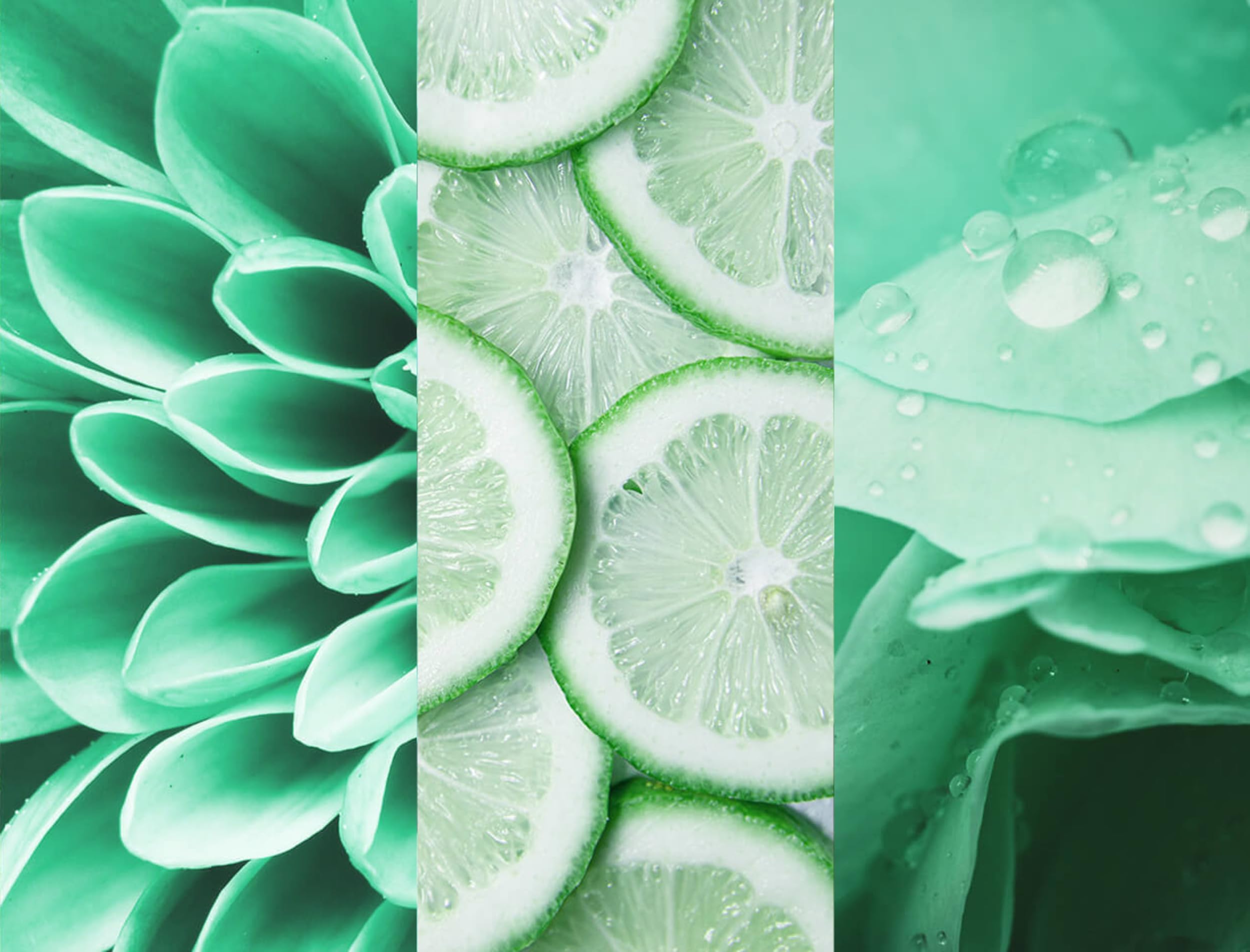 8x4-fresh-lime-deospray-150-ml image 4