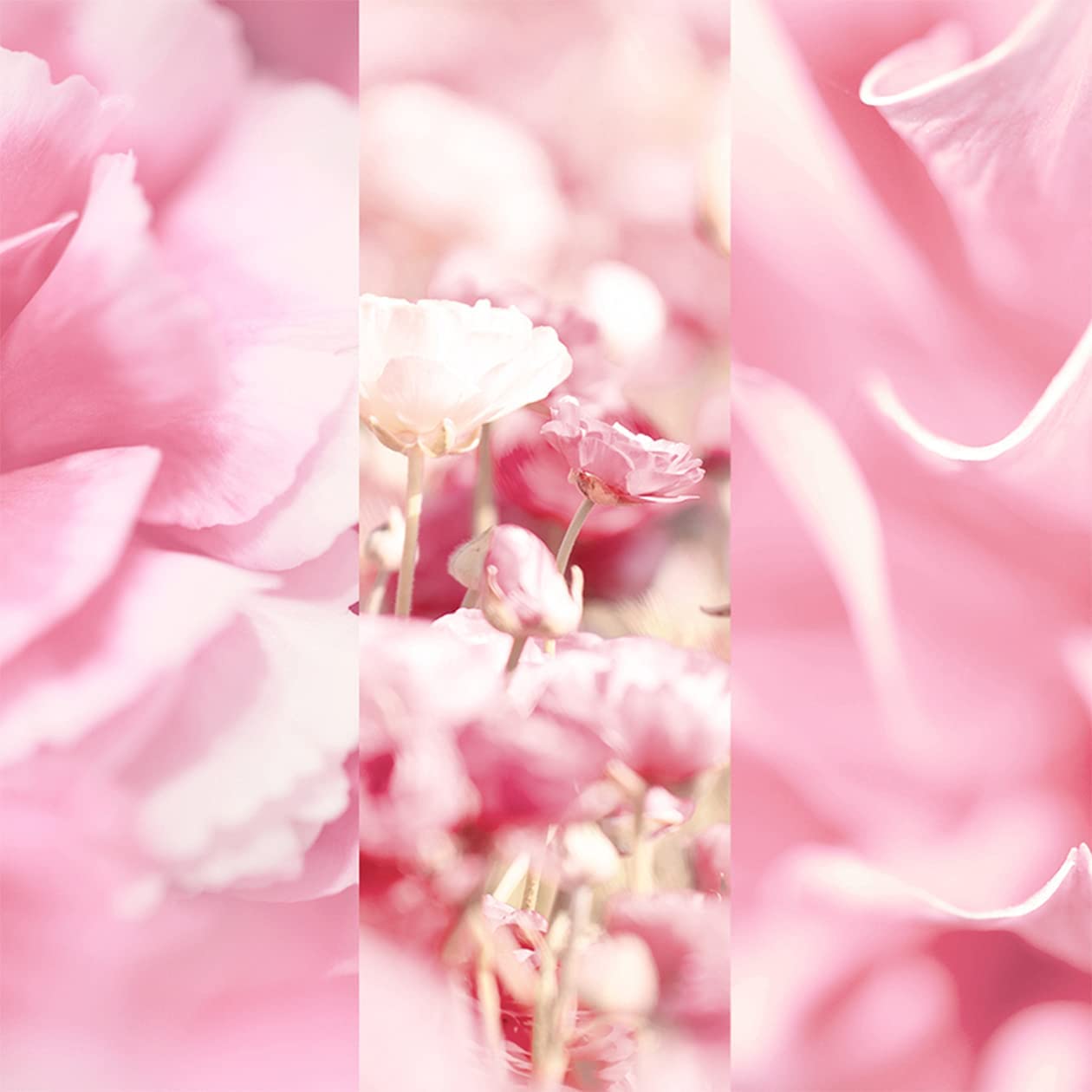 8x4-velvet-blossom-deospray-ohne-aluminium-150-ml image 4